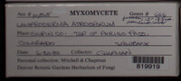 Image Associated With the Occurence